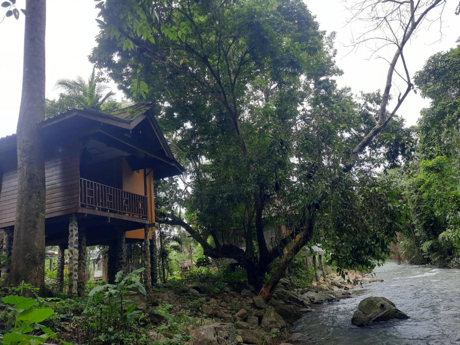 Tree Tops River Huts Khao Sok National Park Exteriör bild